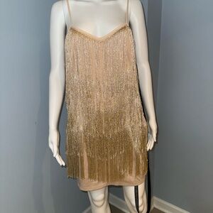 PLT Shimmering Gold Fringe Dress